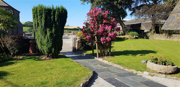 front garden 