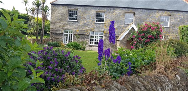 front garden