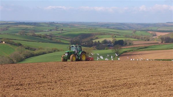 ploughing