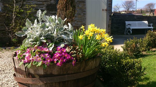 flower tub