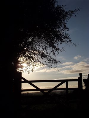 sunset gate