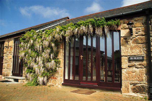 Entrance with wisteria