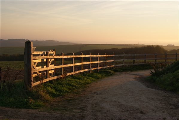 The Mineral Trail