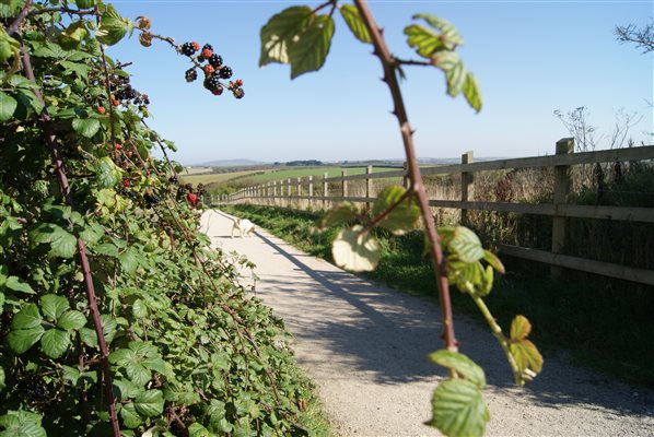 The mineral trail at Trengove