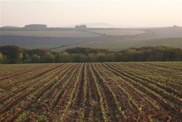 View over the fields at Trengove