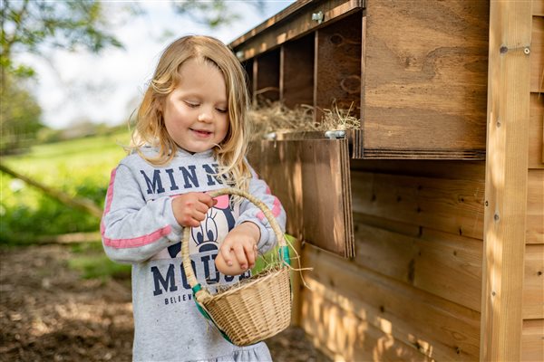 Collecting the eggs for breakfast EX327NR