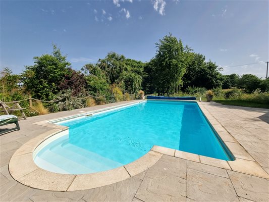 swimming pool surrounded by trees and a blue sky