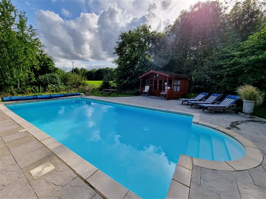 outdoor swimming pool surrounded by patio and trees