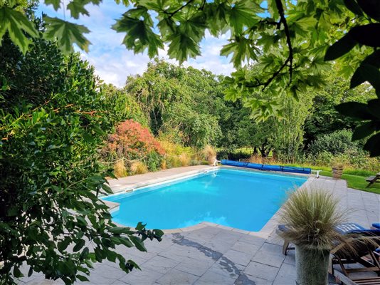 outdoor swimming pool surrounded by patio, trees and a blue sky