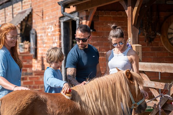 meet our friendly shetland ponies