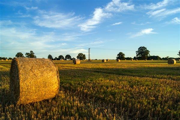 Worcestershire countryside