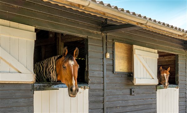 The Stables