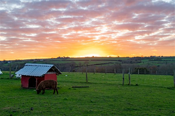 Stunning farm location