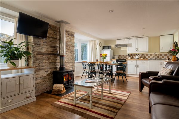 Open plan living area log burner