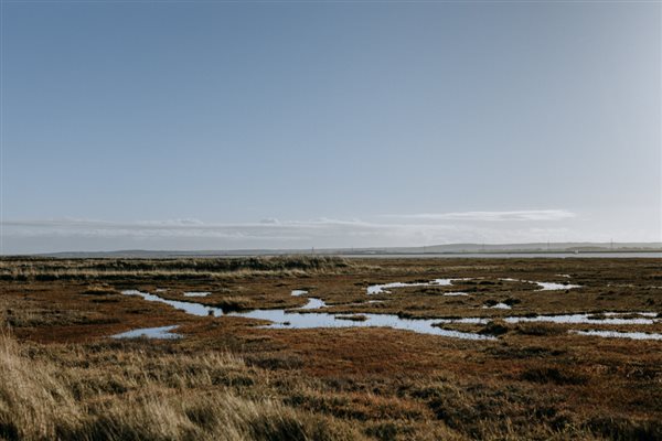 Kent countryside