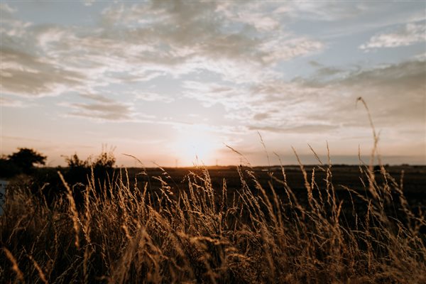 Kent countryside