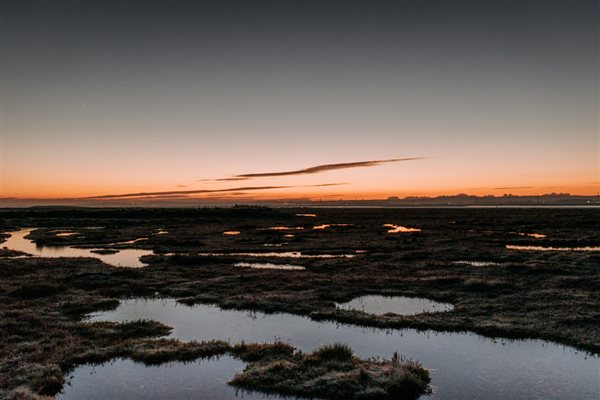 Kent marshlands