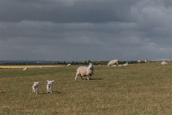 Countryside setting