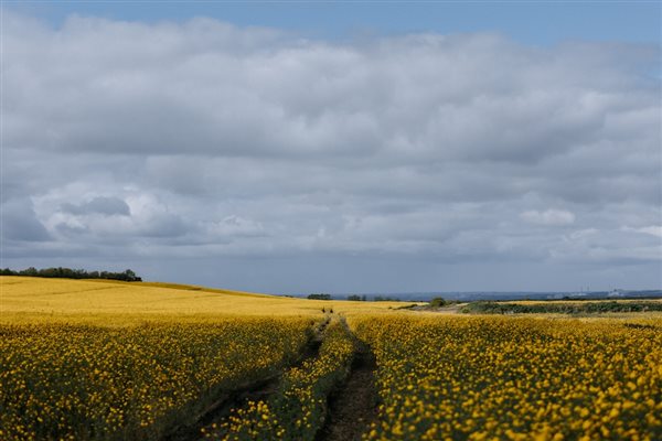 Kent countryside