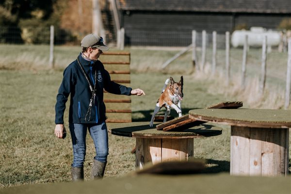 The secure dog field at Mocketts Farm Holiday Cottages in Kent.