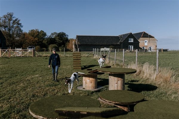 The secure dog field at Mocketts Farm Cottages in Kent. 