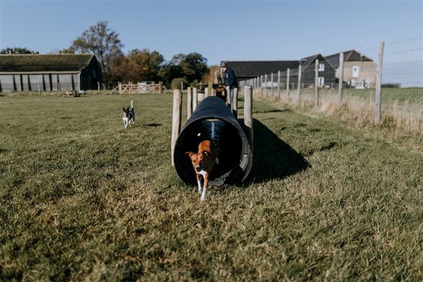 The secure dog field on site at Mocketts Farm Cottages in Kent.