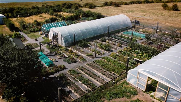 Kitchen Garden Kent