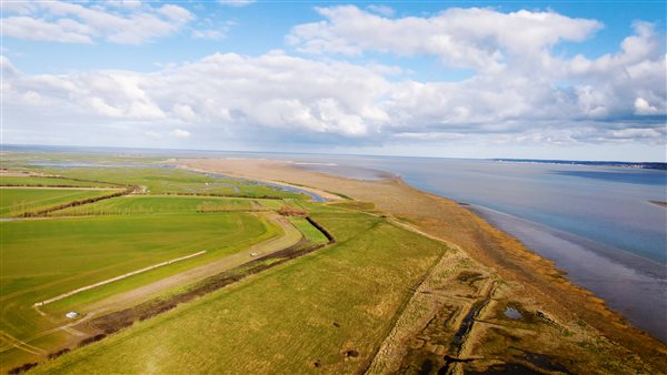 Perfect mix of countryside and coast