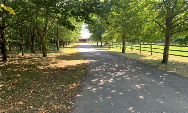 outside walk to Banham Zoo