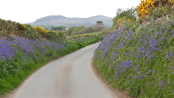 a country walk nearby, that overlooks Garn Boduan, just 3miles away from us at Llwyn Beuno -familyholiday cottage on Llyn Peninsula