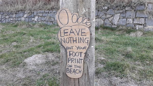 keep the beaches clean and safe for all