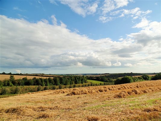 Harvest