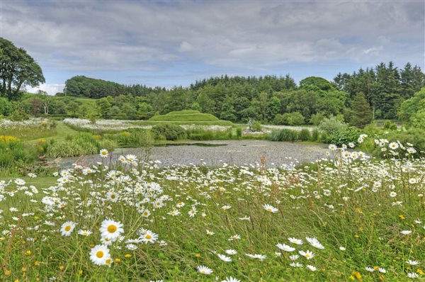 Wildflower meadow at the heart of Orroland