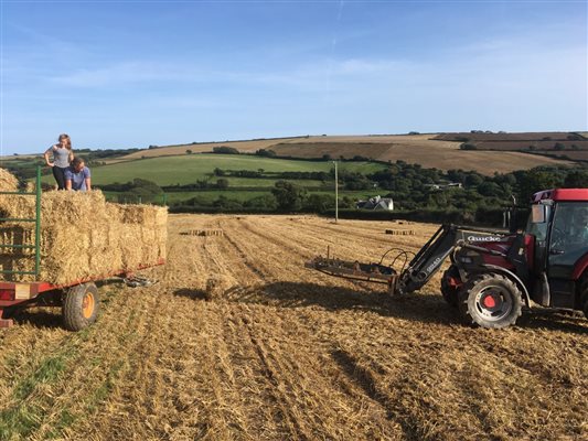 Working in the fields