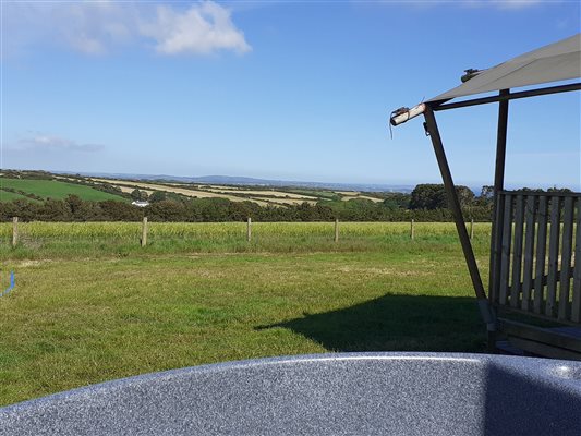 view