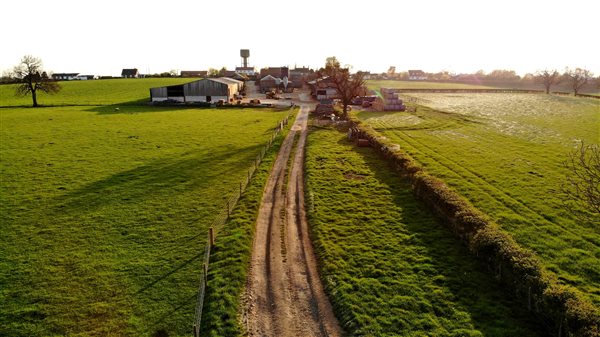 track up to the pond