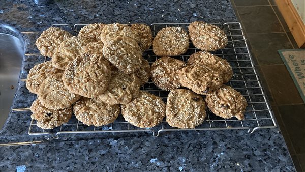  ready baked oat biscuits