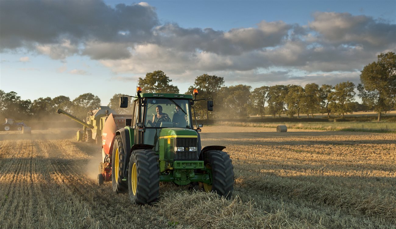 Lovesome Hill Farm Farm Stay