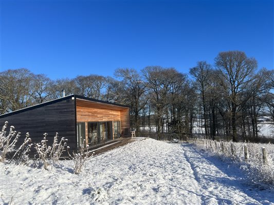 Snowy scene