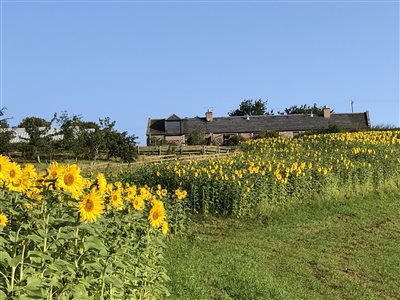 Plum Braes Barn Holidays
