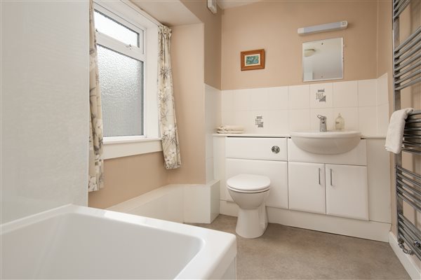 Bathroom with shower over bath Wild Rose