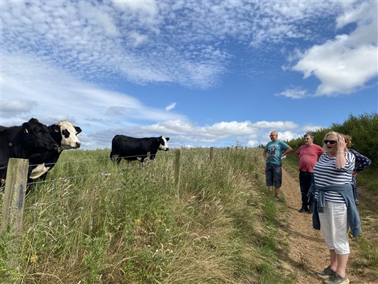 Book a farm tour