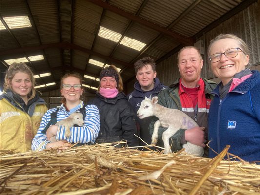 Meet the Lambing Team