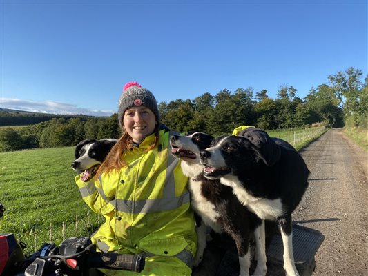 Rosie helping on the farm