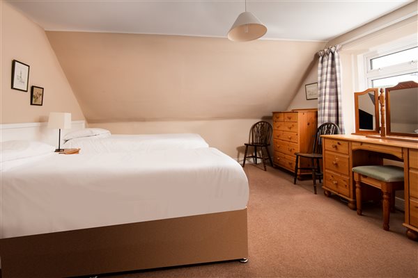 Double or triple room in Wild Rose