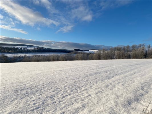 Stunning snow, Bairnkine, Jedburgh