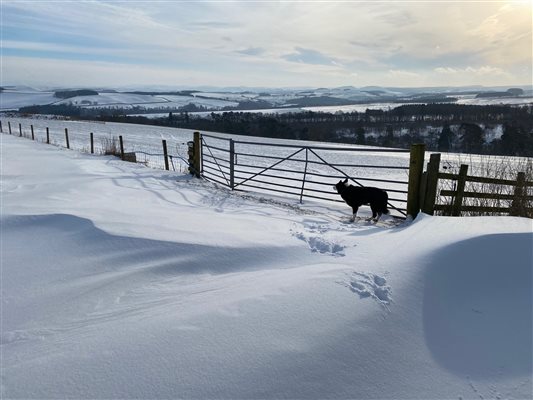 Snow drifts, Bairnkine, Jedburgh