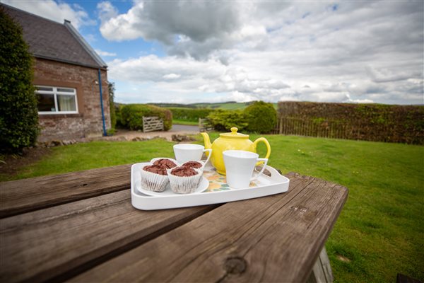 Tea in garden, Wild Rose, Bairnkine, Jedburgh