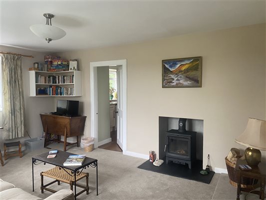 Wood burning stove Wild Rose