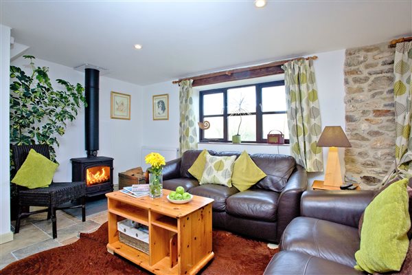 Log fire for cosy evenings in